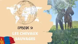 Episode 51 : Où sont les chevaux ?