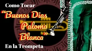 Como tocar &ldquo;Buenos D&iacute;as Paloma Blanca&rdquo; Mariachi Cantares de Mexico en la Trompeta