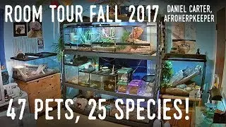 Reptile Room Tour Fall 2017 | Tegu, Skink, Boa, Pythons, and DOZENS More!