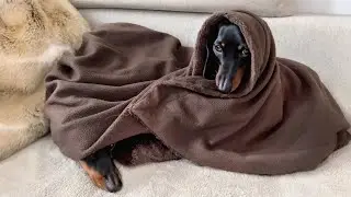 A bath| Loulou & Coco’s Diary.