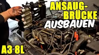 AUDI A3 8L ANSAUGBRÜCKE AUSBAUEN / DEMONTIEREN TUTORIAL / ANLEITUNG