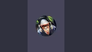 The Sunday Quiz - 1st Feb