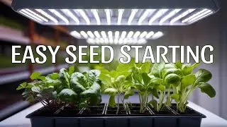 Start Early Garden Seeds Under Grow Lights for a Headstart in Your Garden