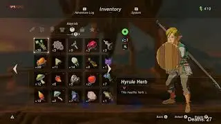 Back Home - 100% Mastermode BOTW
