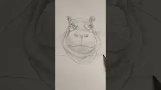 Draw a hippo. 🦛 Easy drawing lesson for beginners on how to draw a hippo. #drawinglesson #howtodraw