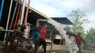Free test Mallig Isabela sf4, Val Dee Farm(2)