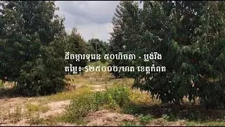Duren Plantation Land for Sale, In Chhuk district, Kampot province, Cambodia