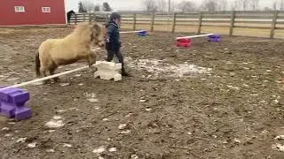 Matthew Ash & Cowboy small equine hunter 2/2025