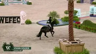 WEF Equitation Cup March 2025 Django 448 Vivian Golden