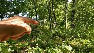 New Sniper Trail