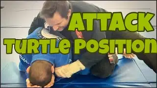 Attacking the Turtle Position