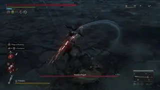 Lies of P - Two Dragons Sword i-frame demonstration