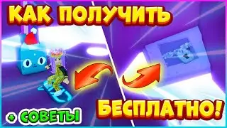 Как БЕСПЛАТНО получить ХОВЕРБОРД 🐾Как лучше ФАРМИТЬ🐾Pet Simulator X HardCore Mode Roblox