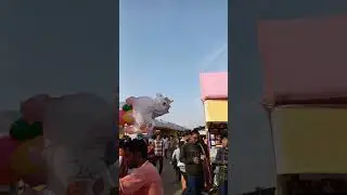 BODO SAHITYA SABHA.2026 CONFERENCE.BORLAOGAON, CHIRANG.BOOK LOVER,FOOD LOVER#viralvideo#bodoculture