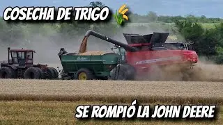TRASLADO de LOTE, se ROMPIÓ la JOHN DEERE y CARGANDO CAMIONES con TRIGO
