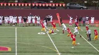 Terrific On Turf - Top 3 Plays for October