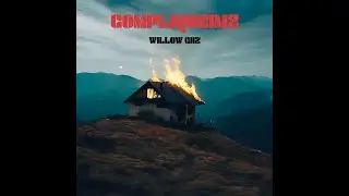 Willow GHZ - Compliqueime