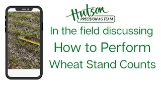 In the Field Discussing How to Perform Wheat Stand Counts