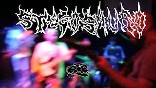 [RDR] STEGOSAURO - 30.10.24 (CIRCOLO DEV, BOLOGNA)