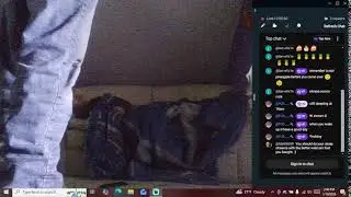 sleep stream subscribe  please
