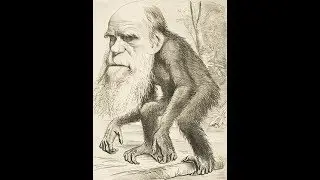 Il gene egoista [2/3] - Il dilemma del prigioniero.