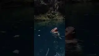 BEAUTIFUL MEXICAN CENOTE IN CANCUN #shorts