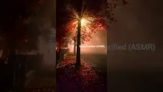 Satisfying sound of cold wind #shorts #asmr #asmrsounds #satisfyingsounds #satisfyingvideos #cozy