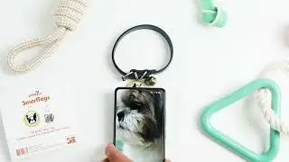 Bibo Pets Smart Pet Tags