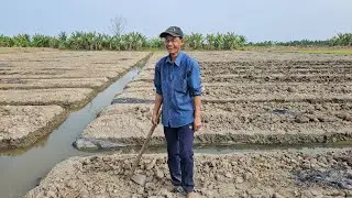 Bật cười khi Anh Trung nói tết mua bò ăn để sanh con ra mau biết bò #Anhtrungchuonvit