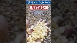 Peanut Machine& Peanut Splitting Machine  & Split Peanut Blanche & Split Nut Blancher