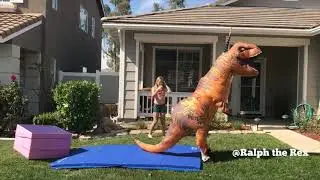 Dinosaur Gymnastics Floor Routine (Featuring Left Shark)