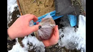 Сделай это весной и пчела будет сеять как бомба | Bees in the Russian village, eco product