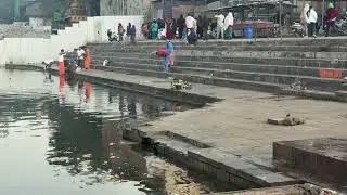 Ritual Bathing | A Common Current | Godavari River Ghats, Nashik, Maharashtra