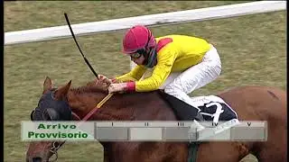 2019-01-31 Corsa 4 Metri 1500 Premio Vinicio Verricelli