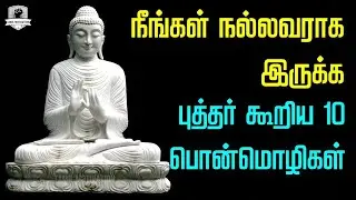 Buddha Quotes in Tamil #motivation #lifecoach
