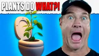 Plant Based Diets Do This To Your Poop...