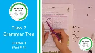 Grammar Tree | Class # 7 | Chapter 3 Adjectives (Part # 4)