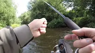 Rhyl and St Asaph Angling Association