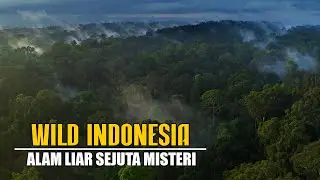 Wild Indonesia!!! Alam Liar Sejuta Misteri Part 1