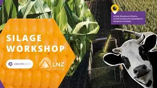 Silage Workshop (силосний воркшоп) UNIVERSEED