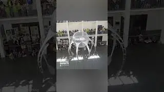 Эта медуза плавает в воздухе.