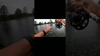 Can I Catch a Fish Before It Storms? #fishing #flyfishing #livestream