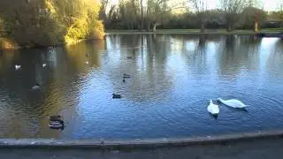 Cuttelowe Park Oxford.
