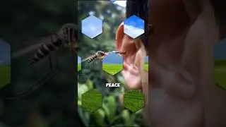 Невероятные факты, которые на 100% правдивы 😱🌍 | Часть 5