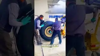 THE BEST JOB FOR RUSSIANS ABROAD 🤯