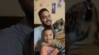 Anas and me #animals #tiger #angrytiger #wildlife