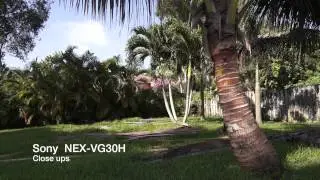 Sony NEX-VG30H