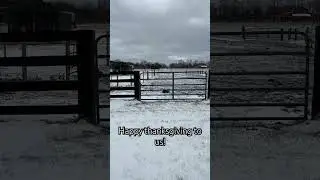 Its never a dull moment on the farm! The 55mph winds arent helping! #equestrian #mustang #horse