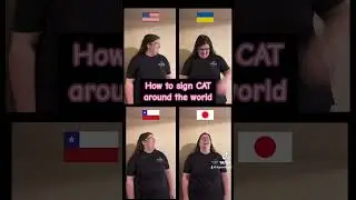 🐈 How to sign #CAT in #signlanguage #ukraine #chile #japan and #asl