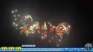 RA126S42AX3 Raccoon Fireworks 1.4G Pro 126'S Sky Painting Smoke Compound Cake
